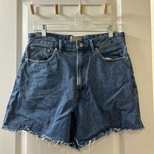 Everlane A-Line Shorts